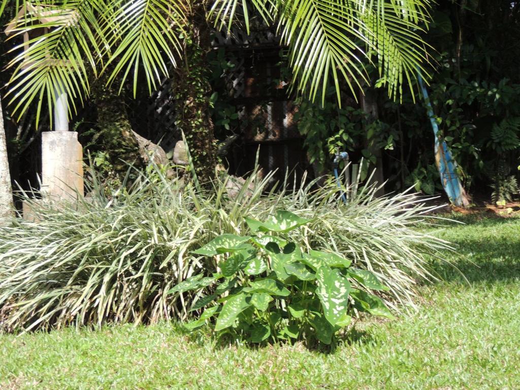 Pousada Villa Maria Ilha do Mel Exteriér fotografie